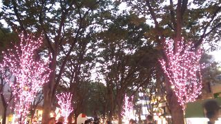 ８月８日の夜の定禅寺通はロマンチックかつ幻想的な雰囲気に包まれていました