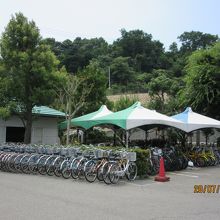 多数・多種類の自転車が用意されている。