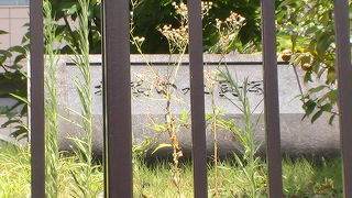 都心が以前は海だったことを現代伝える貝塚です