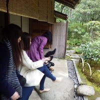 茶室なんだけどなあ…飛んでるし。