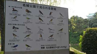 名古屋を代表する公園