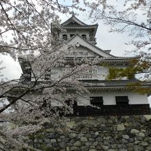 長浜城と桜