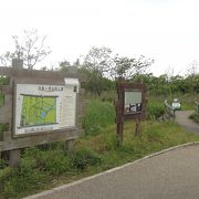 湿地帯の四季の草花を楽しめる