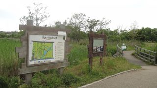 湿地帯の四季の草花を楽しめる