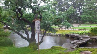 兼六園入ってすぐ