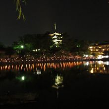 興福寺の五重塔と猿沢池