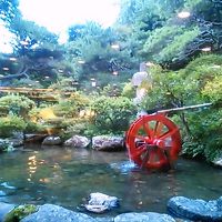 日本庭園が美しく露天風呂は目の前に渓谷が広がります