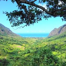 山ツアー　山頂から