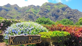 山ツアーは蚊に注意！