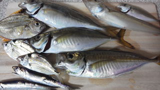 手軽に海に親しめます。