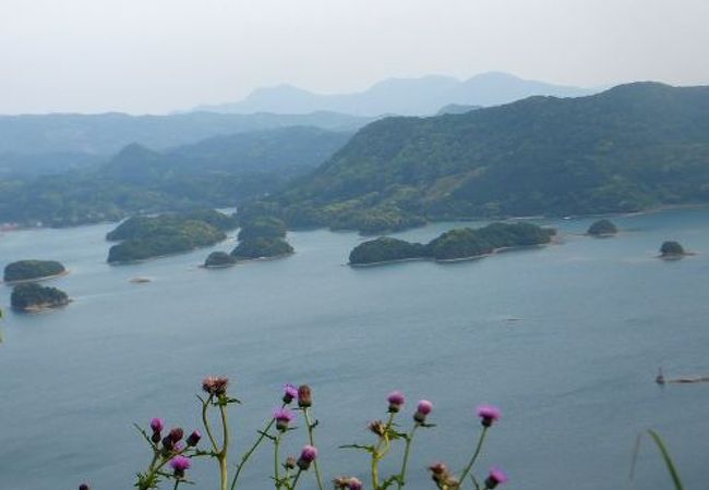 いろは島展望台 クチコミ アクセス 営業時間 唐津 虹の松原 フォートラベル