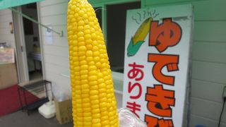 のっぽろ野菜直売所