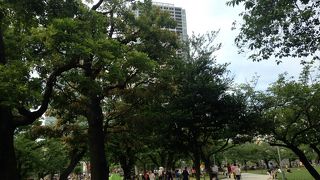 都会のオアシス!!