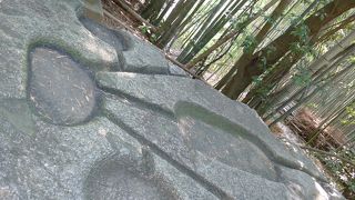 不思議な彫です