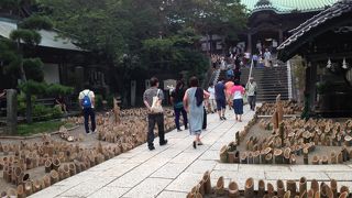 ユニークなイベント、「龍の口竹灯籠」