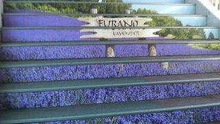 富良野の名物が集まった駅です