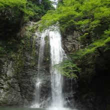 本当にきれいな滝で、その滝の凄さに圧倒されます。