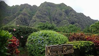 乗馬１時間でも楽しめます。