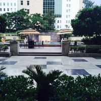 フロントからはプールが見えます