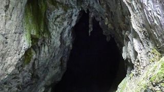 やっぱり日本一