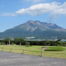 庭園からの桜島