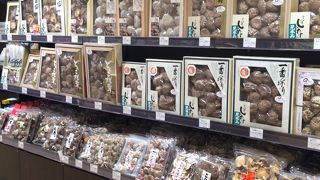 シイタケが圧巻