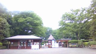 広々とした公園広場