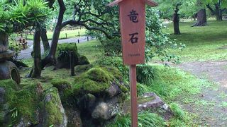 龍には見えなかったが