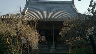 鶴ヶ岡八幡宮から東へ