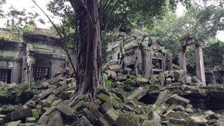 迷路みたいで楽しい☆ラピュタのような遺跡♪