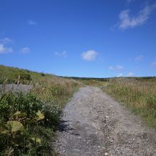 こんな道です。