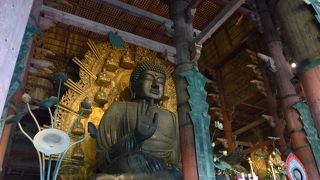 遂に拝顔できました