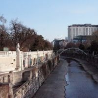 市立公園からみるホテルです