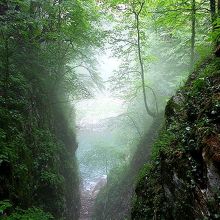 まるで熱帯雨林のような景観を作り出すレカ川