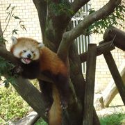 平川動物公園