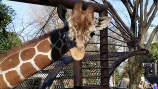 無料で楽しめる！市民の憩いの動物園