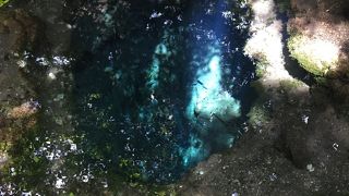 20年ぶりにお邪魔