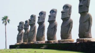 朝は逆光でした