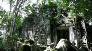 必ず行ったほうがいい