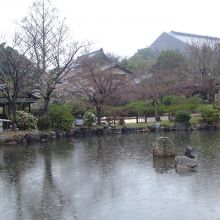 円山公園の池