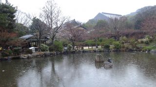 桜の名所で大変多くの人で賑わいます