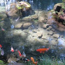 明神池名水公園