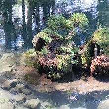 明神池名水公園