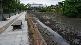 天守閣を守っています