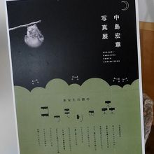 写真展やっていた