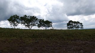 屈斜路湖だけでなく広大なパノラマが楽しめます