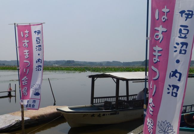 伊豆沼 内沼はすまつり 宮城県栗原市 クチコミ アクセス 営業時間 栗駒 栗原 フォートラベル