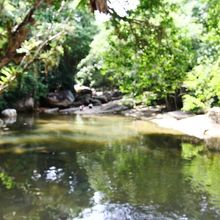 水は濁っている