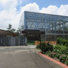 青島亜熱帯植物園