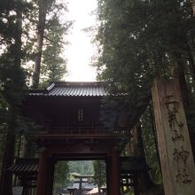縁結びの樹木がある神社